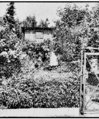 BILD-Zeitungsfoto vom 21.07.1987 - Lichtenrade: Haus des Kindesentführers